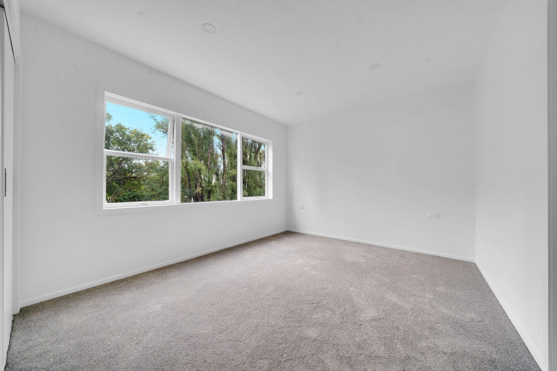 16 Dallinghoe Crescent, Milford. Photo 7 of 12.